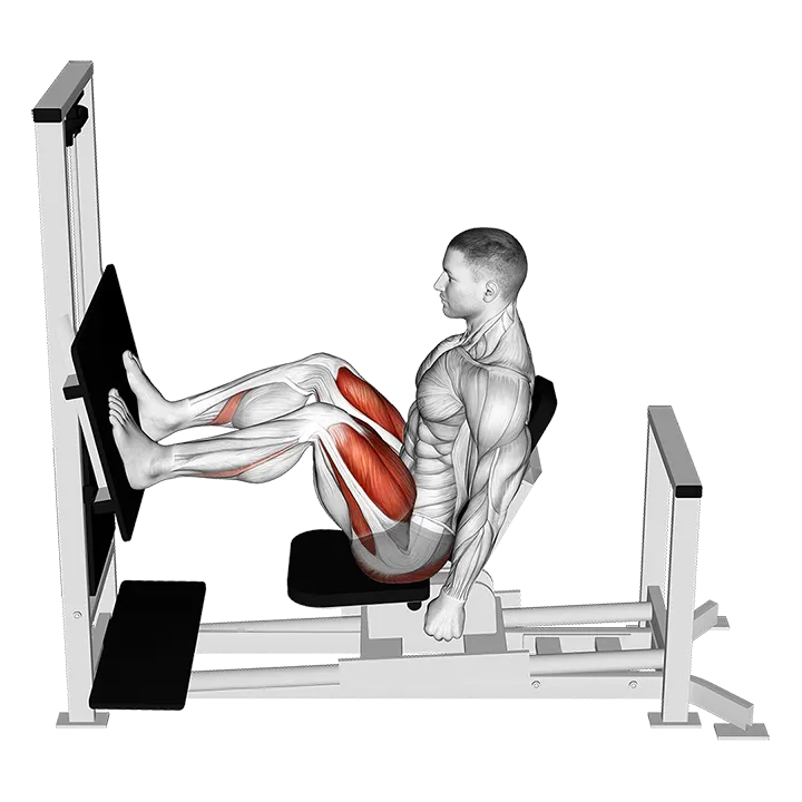 Lever Horizontal Leg Press exercise animation (Male)