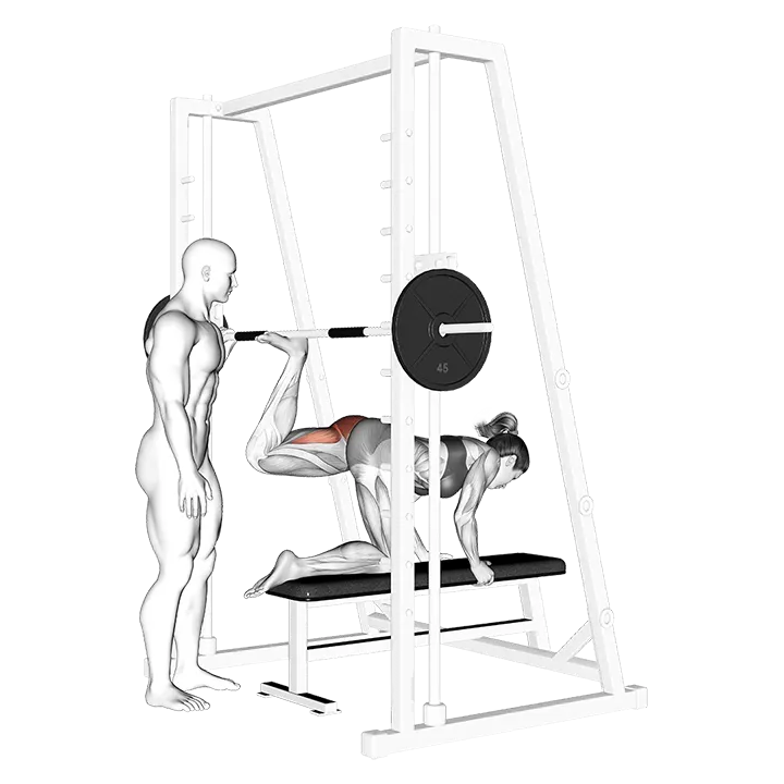Smith kneeling rear kick (with Partner) exercise animation (Mujer)