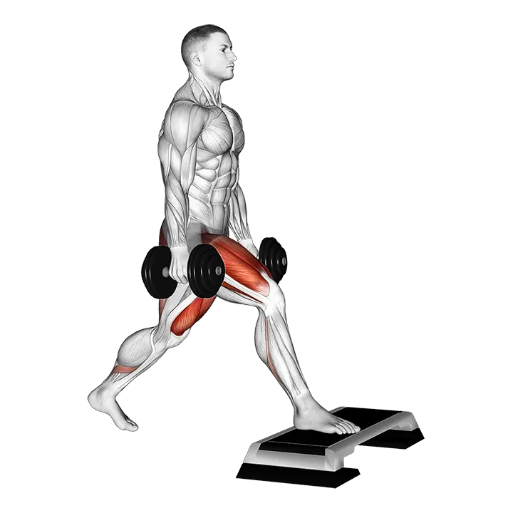 Dumbbell Split Squat Front Foot Elevanted exercise animation (Male)