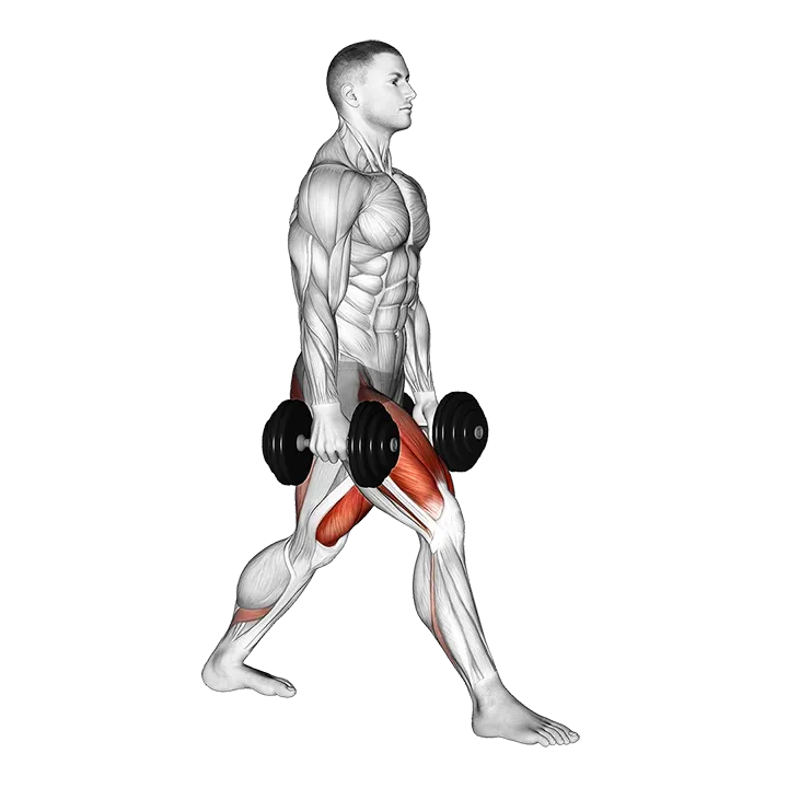 Dumbbell Split Squat exercise animation (Male)