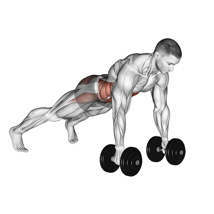 Plank Push-Up Row exercise animation (Male)