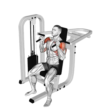 Lever Seated Hammer grip Shoulder Press