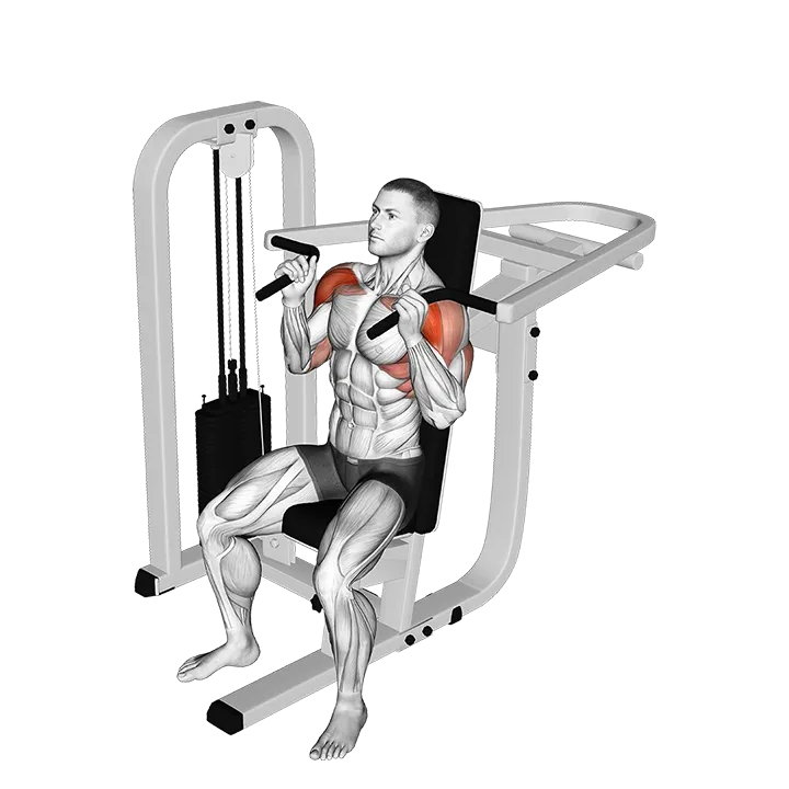 Lever Seated Hammer grip Shoulder Press exercise animation (Hombre)