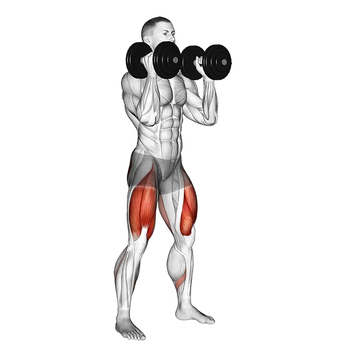 Dumbbell Front Squat exercise animation (Male)