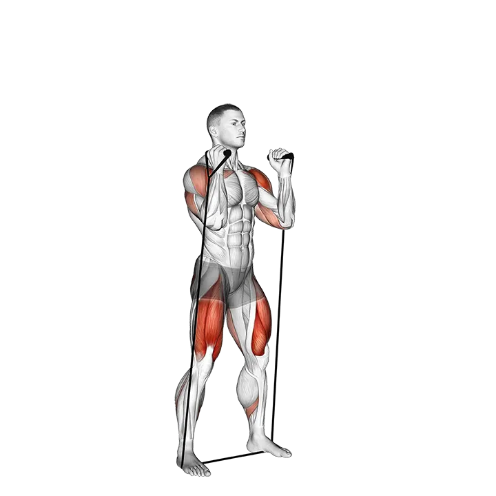 Band Thruster exercise animation (Male)