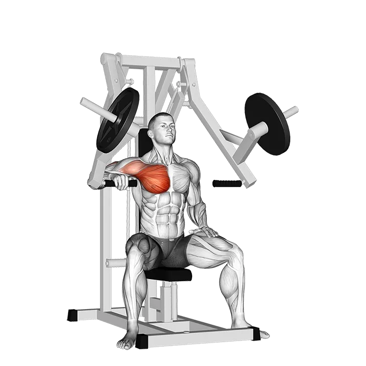 Lever One Arm Chest Press (plate loaded) exercise animation (Male)