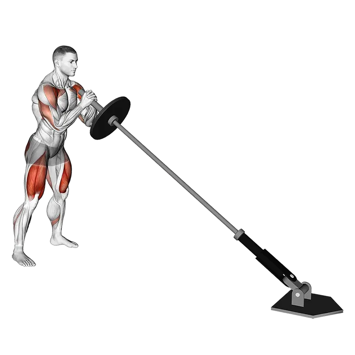 Landmine Squat and Press exercise animation (Male)