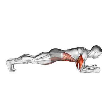 Elbow Up and Down Dynamic Plank