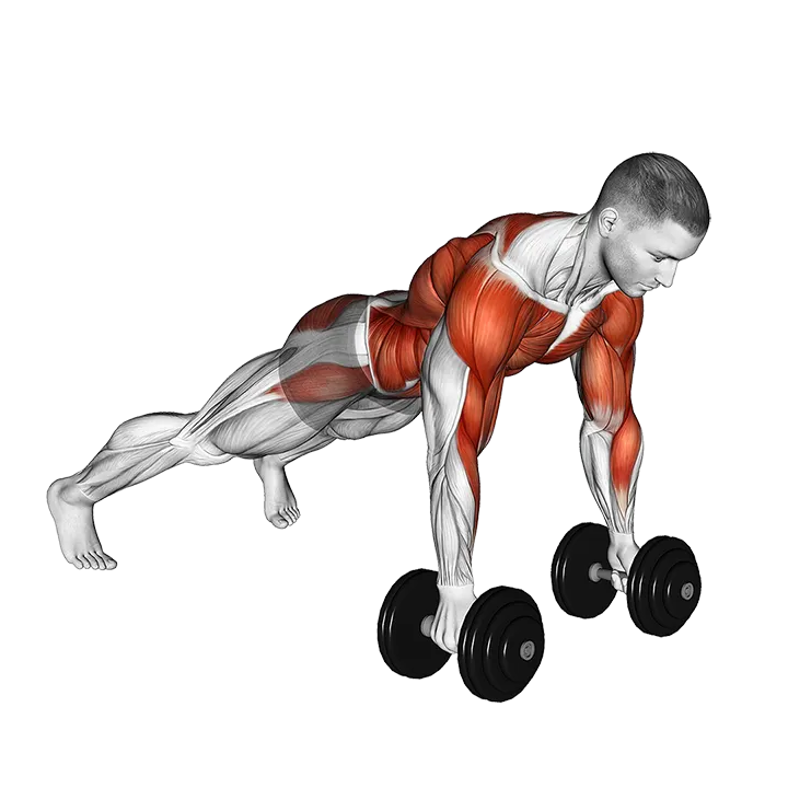 Dumbbell Renegade Row exercise animation (Male)