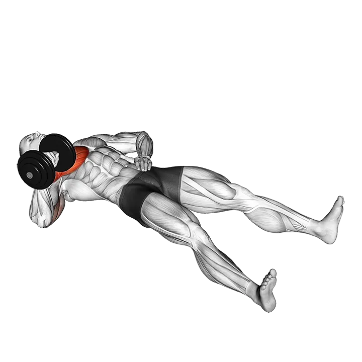 Dumbbell Alternating Floor Press exercise animation (Male)