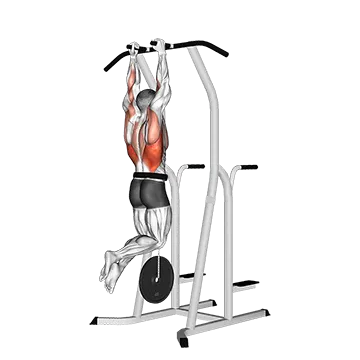 Weighted Hammer Grip Pull-up on Dip Cage