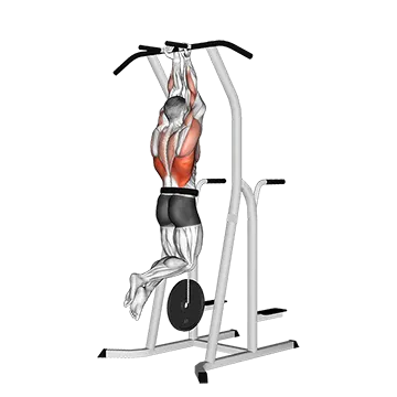 Weighted Close Grip Chin-up on Dip Cage