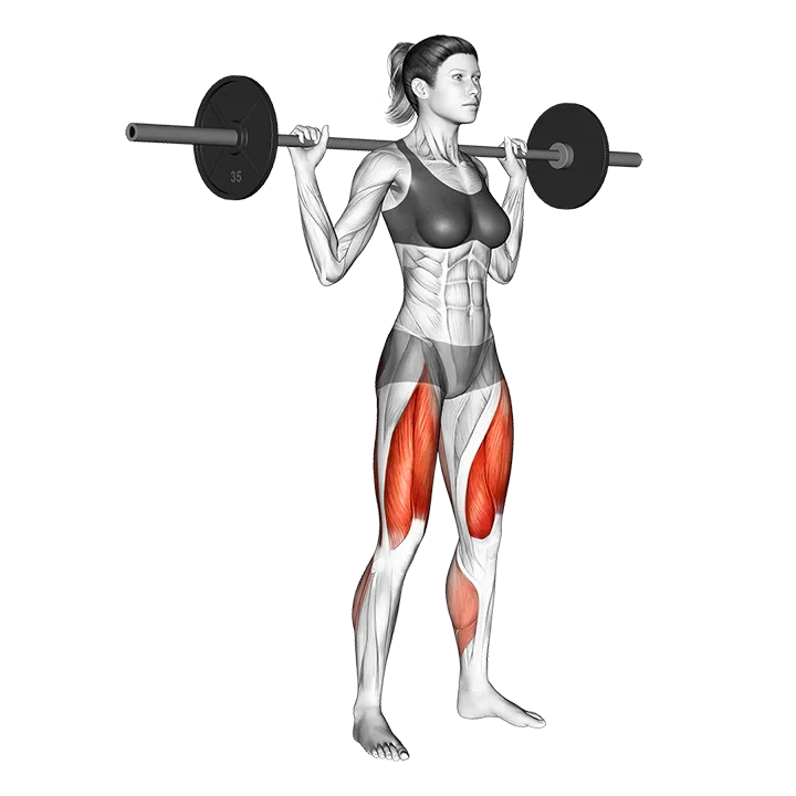 Squat mobility exercise animation (Female)
