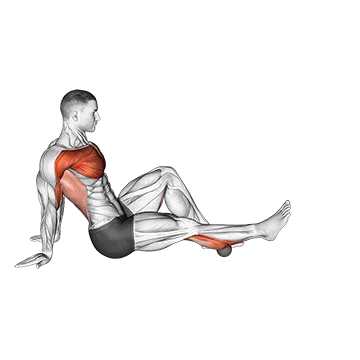 Rollball Seated Single Leg Shoulder Flexor Depresor Retractor