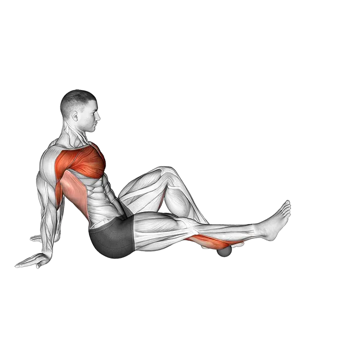 Rollball Seated Single Leg Shoulder Flexor Depresor Retractor exercise animation (Male)