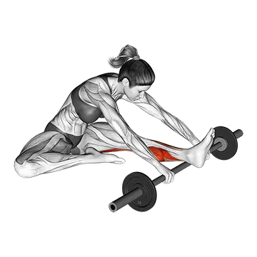 Calf self massage with barbell