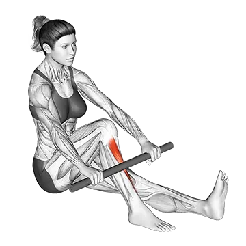 Self Anterior Calf Foam Rolling