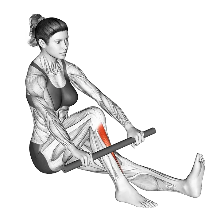 Self Anterior Calf Foam Rolling exercise animation (Female)