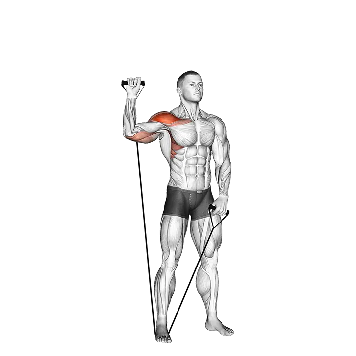 Band Single Arm Shoulder Press exercise animation (Male)