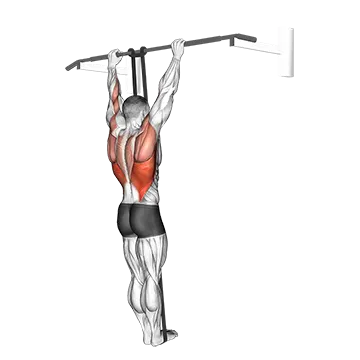 Band Assisted Pull-Up (VERSION 3)