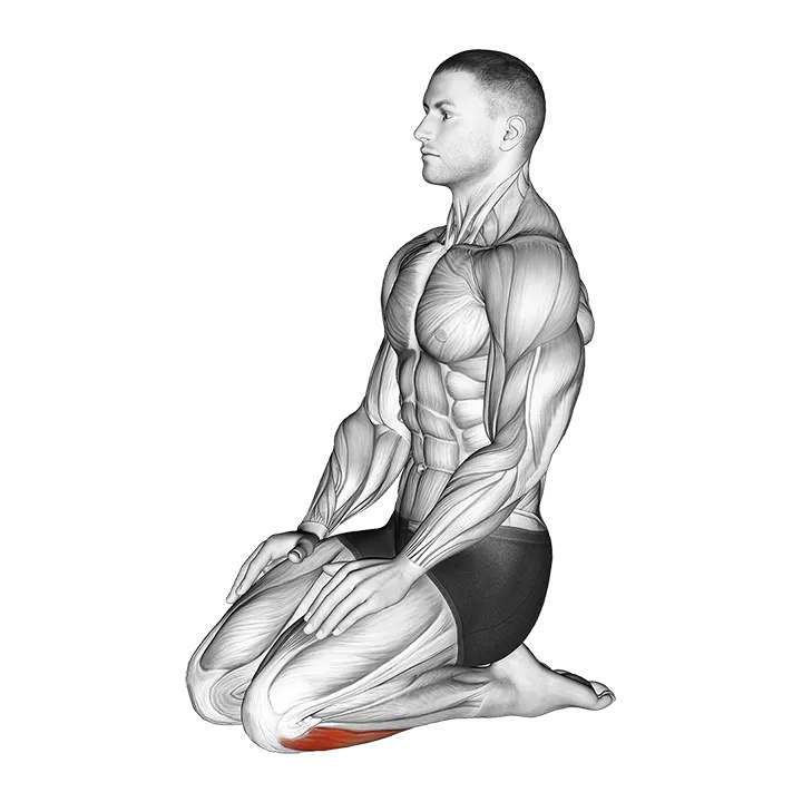 Seated Ankle Stretch exercise animation (Hombre)
