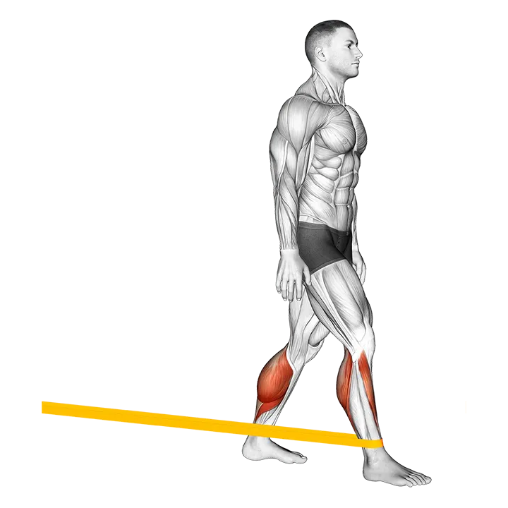 Resistance Band Standing Back Achilles Stretch exercise animation (Male)