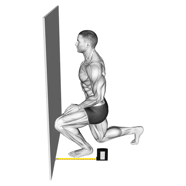 Squats - Knee Position exercise animation (Male)