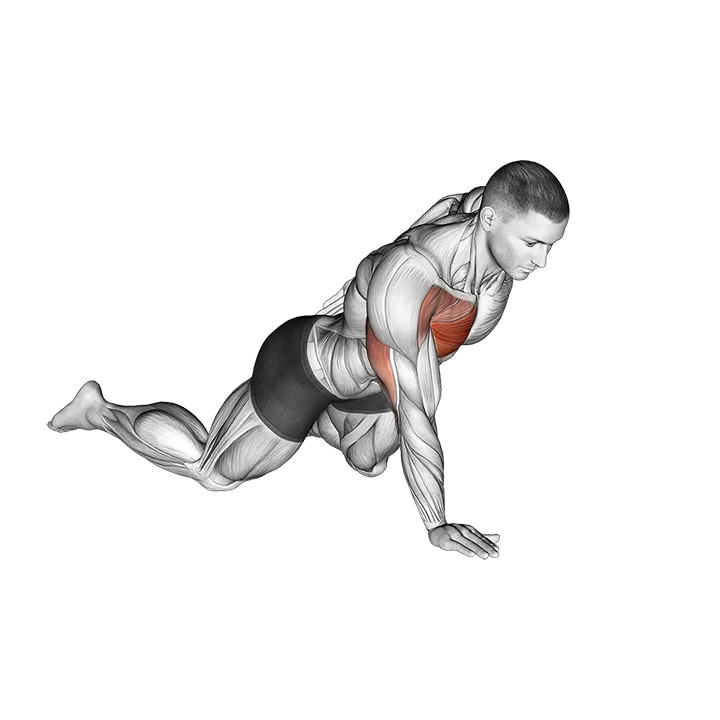 Single Arm Push-up (on knees) exercise animation (Male)