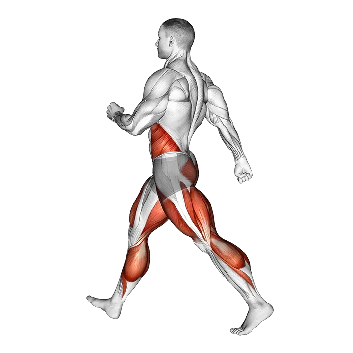 Briskly Walking exercise animation (Male)