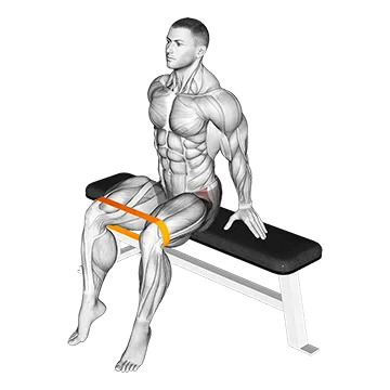 Resistance Band Seated Hip Abduction