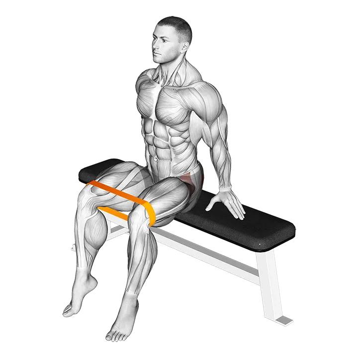 Resistance Band Seated Hip Abduction exercise animation (Male)