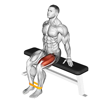 Resistance Band Leg Extension