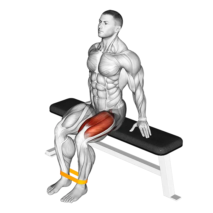Resistance Band Leg Extension exercise animation (Male)