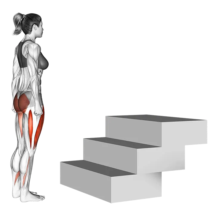 Stair Up exercise animation (Female)