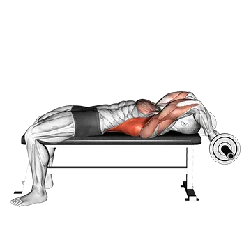 EZ Bar Lying Bent Arms Pullover