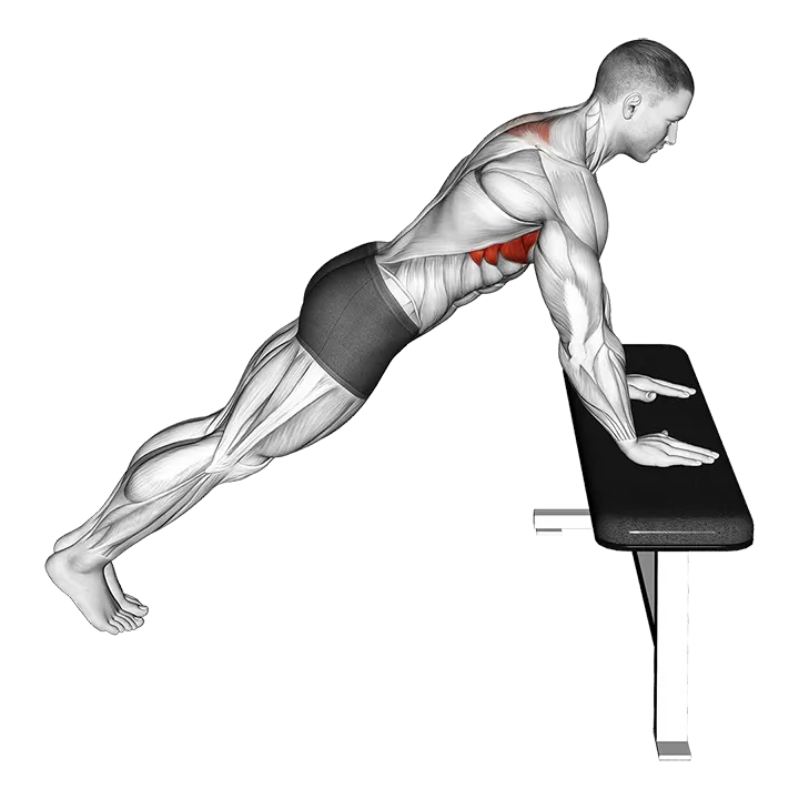 Incline Scapula Push up exercise animation (Male)