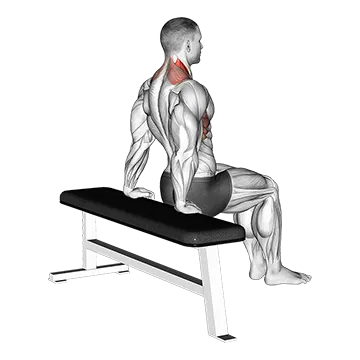 Scapula Dips