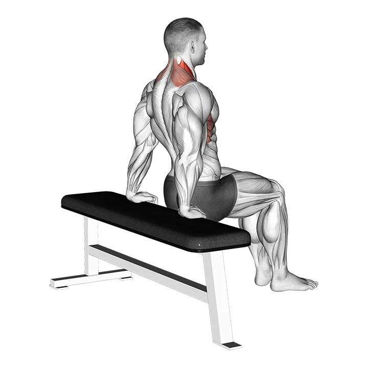 Scapula Dips exercise animation (Male)