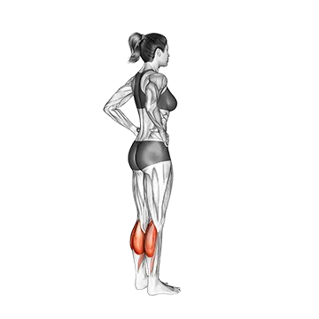 Standing Calf Raise