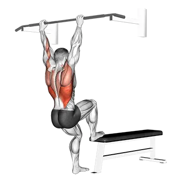 Bench Pull-ups