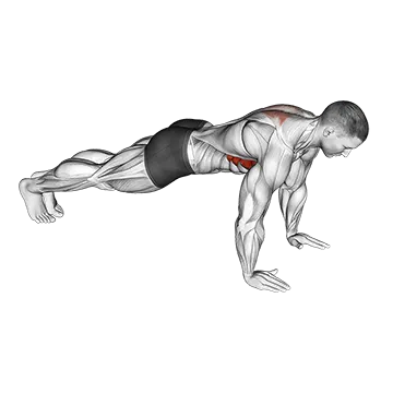 Scapula Push-up