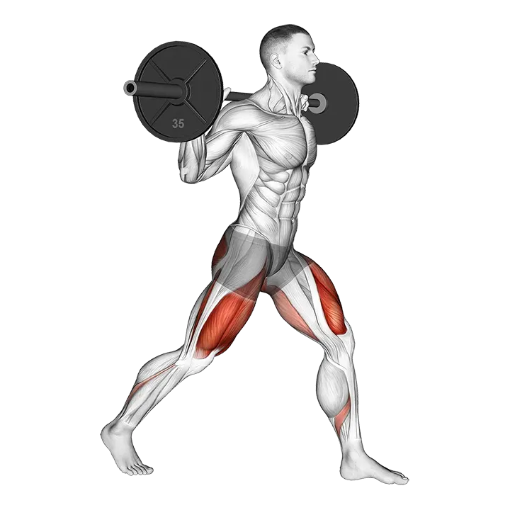 Barbell Split Squat exercise animation (Male)