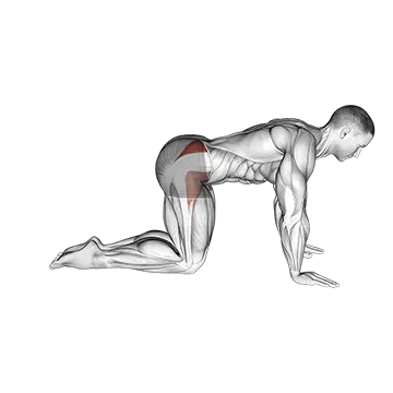 Bent Leg Side Kick (kneeling)