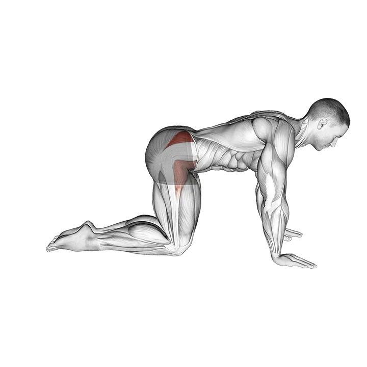 Bent Leg Side Kick (kneeling) exercise animation (Hombre)