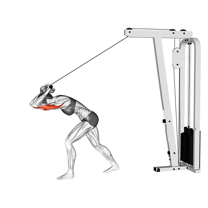 Cable Bar High Pulley Overhead Tricep Extension exercise animation (Female)