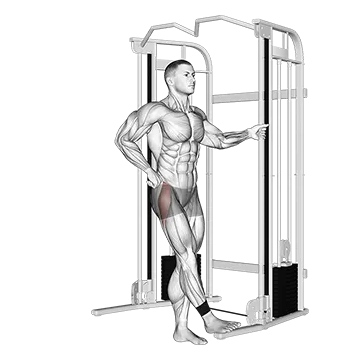 Cable hip abduction (version 2)
