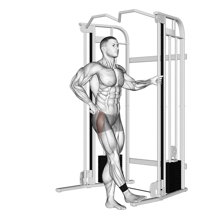 Cable hip abduction (version 2) exercise animation (Male)