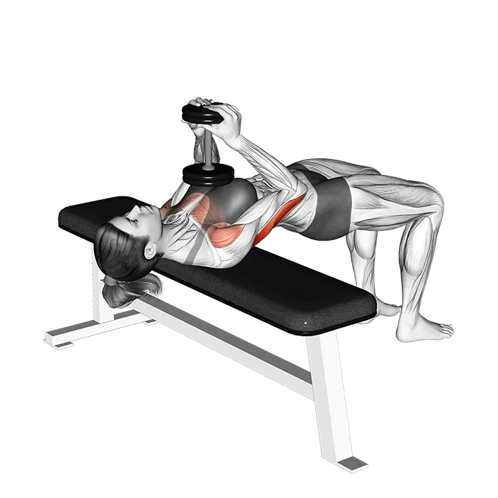 Dumbbell Close grip Press exercise animation (Female)