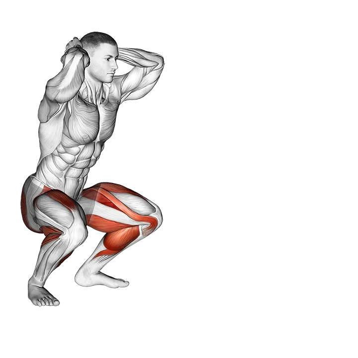 Frog Hops exercise animation (Male)