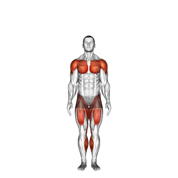 Jumping Jack exercise animation (Male)